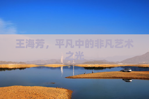 王海芳，平凡中的非凡艺术之光