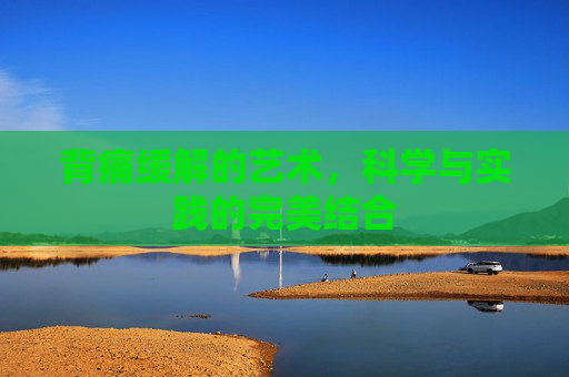 背痛缓解的艺术，科学与实践的完美结合