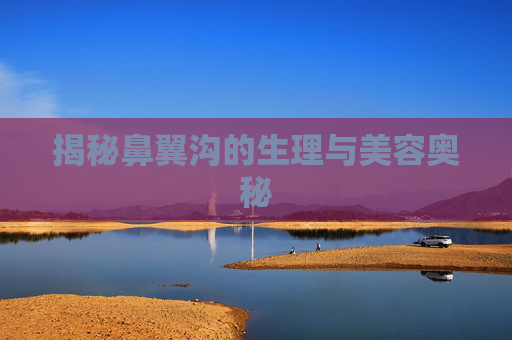 揭秘鼻翼沟的生理与美容奥秘