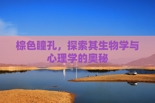 棕色瞳孔，探索其生物学与心理学的奥秘