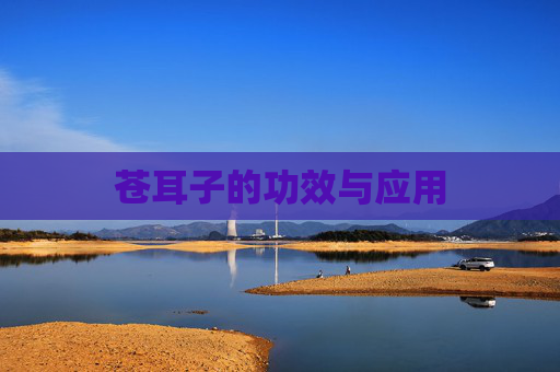 苍耳子的功效与应用
