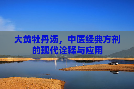 大黄牡丹汤，中医经典方剂的现代诠释与应用