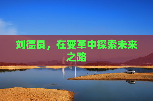刘德良，在变革中探索未来之路