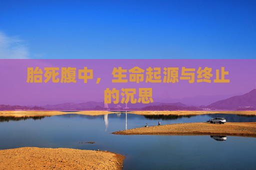 胎死腹中，生命起源与终止的沉思
