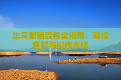 生育报销流程全指南，轻松理解与操作步骤