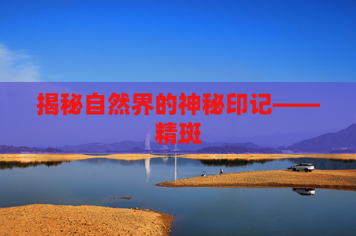 揭秘自然界的神秘印记——精斑