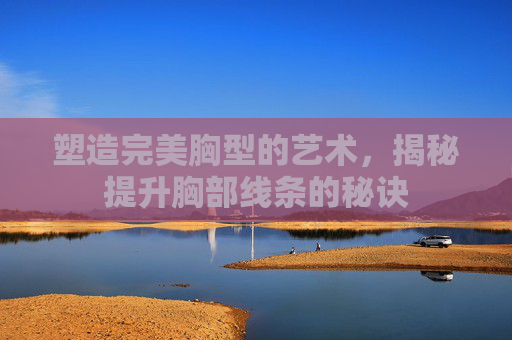 塑造完美胸型的艺术，揭秘提升胸部线条的秘诀