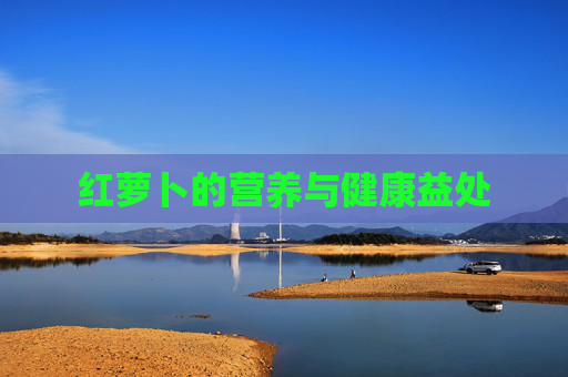 红萝卜的营养与健康益处