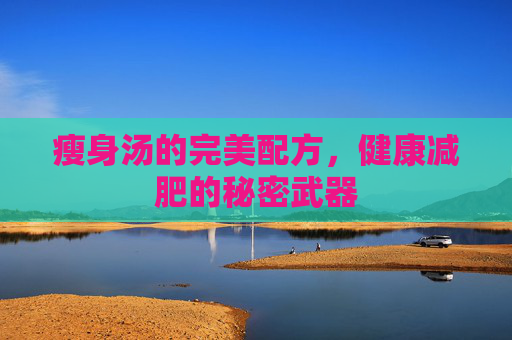 瘦身汤的完美配方,健康减肥的秘密武器 瘦身汤的完美配方,健康减肥的秘密武器