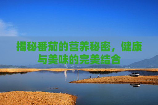 揭秘番茄的营养秘密，健康与美味的完美结合