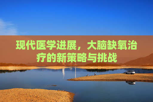 现代医学进展，大脑缺氧治疗的新策略与挑战