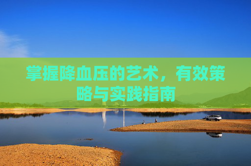 掌握降血压的艺术，有效策略与实践指南