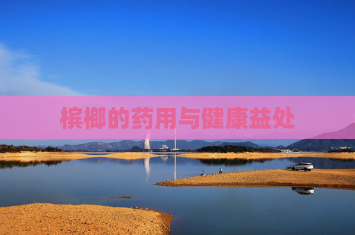 槟榔的药用与健康益处
