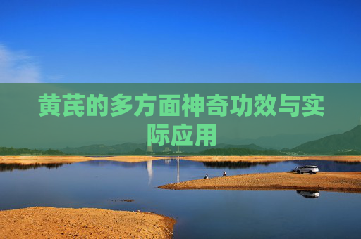 黄芪的多方面神奇功效与实际应用