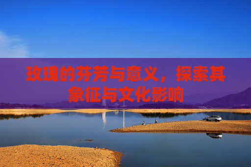 玫瑰的芬芳与意义，探索其象征与文化影响