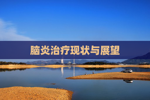 脑炎治疗现状与展望