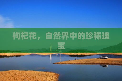 枸杞花，自然界中的珍稀瑰宝