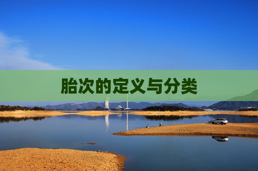 胎次的定义与分类