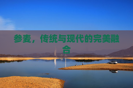 参麦，传统与现代的完美融合