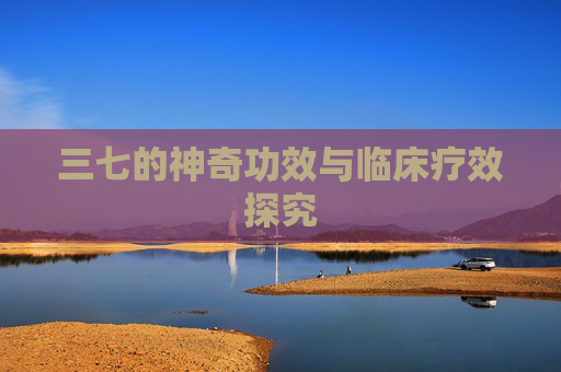 三七的神奇功效与临床疗效探究