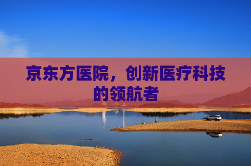 京东方医院，创新医疗科技的领航者