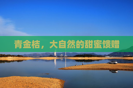 青金桔，大自然的甜蜜馈赠