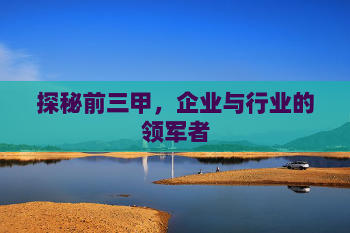 探秘前三甲，企业与行业的领军者