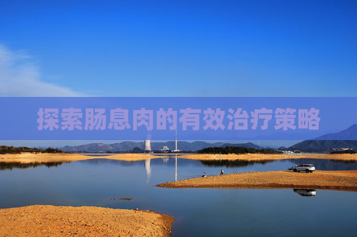 探索肠息肉的有效治疗策略