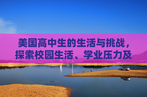 美国高中生的生活与挑战，探索校园生活、学业压力及社交互动