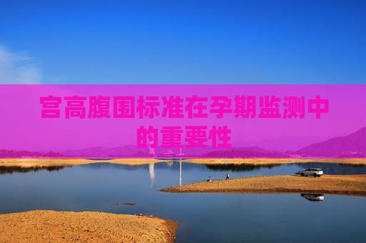 宫高腹围标准在孕期监测中的重要性