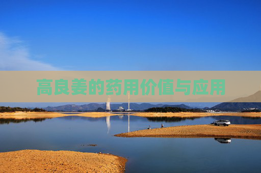 高良姜的药用价值与应用