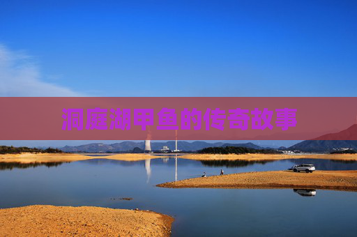 洞庭湖甲鱼的传奇故事