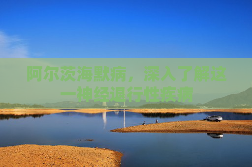 阿尔茨海默病，深入了解这一神经退行性疾病