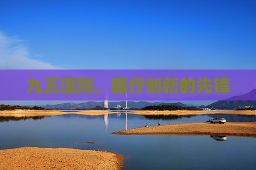 九五医院，医疗创新的先锋