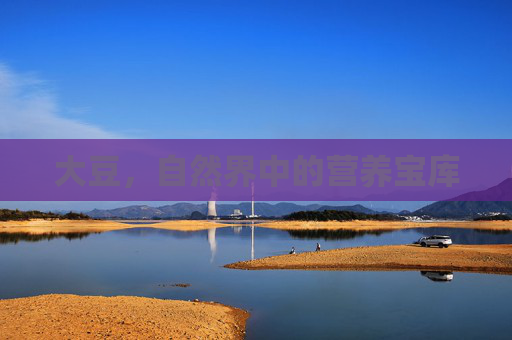 大豆，自然界中的营养宝库