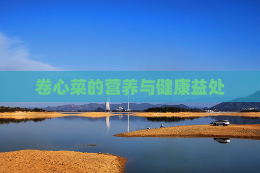 卷心菜的营养与健康益处