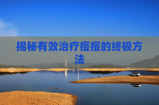 揭秘有效治疗痘痘的终极方法