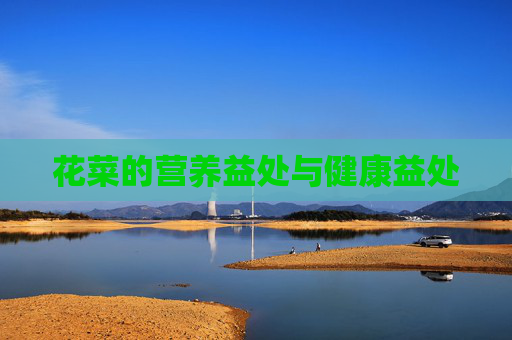 花菜的营养益处与健康益处