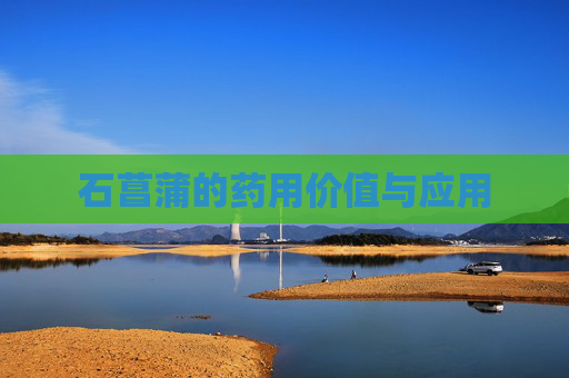 石菖蒲的药用价值与应用 石菖蒲的药用价值与应用