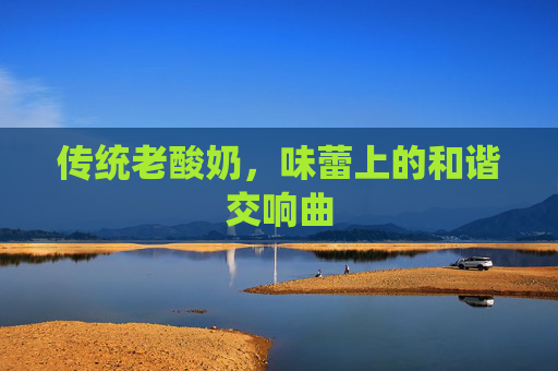 传统老酸奶，味蕾上的和谐交响曲