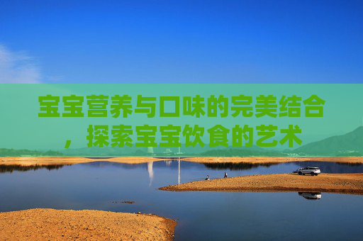 宝宝营养与口味的完美结合，探索宝宝饮食的艺术