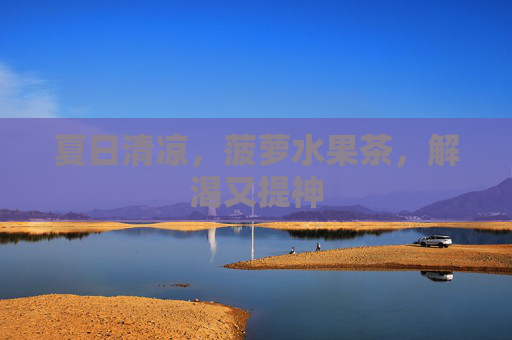 夏日清凉，菠萝水果茶，解渴又提神