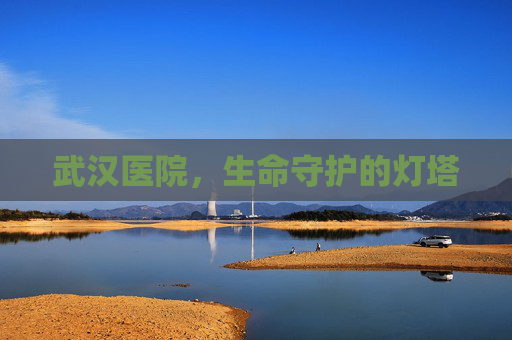 武汉医院，生命守护的灯塔
