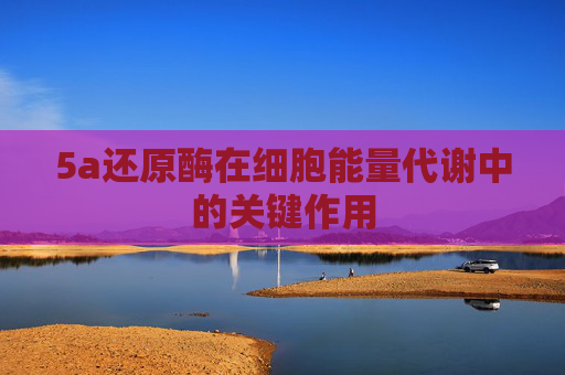 5a还原酶在细胞能量代谢中的关键作用