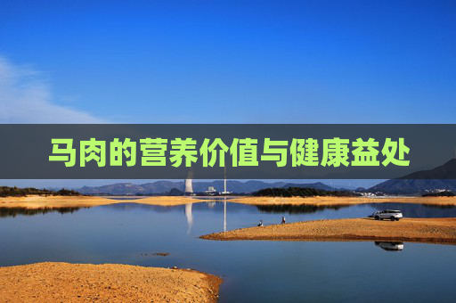 马肉的营养价值与健康益处