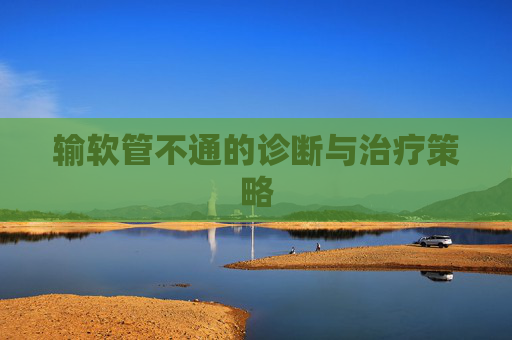 输软管不通的诊断与治疗策略