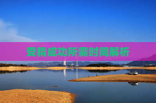 受精成功所需时间解析