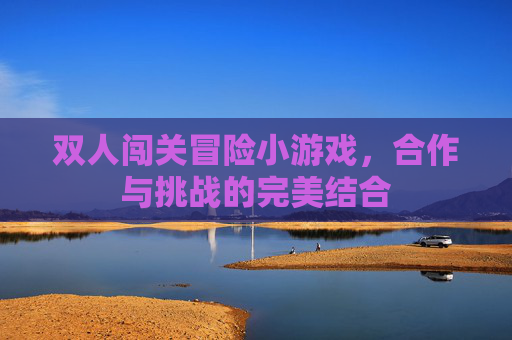 双人闯关冒险小游戏，合作与挑战的完美结合
