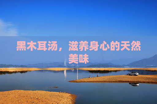 黑木耳汤，滋养身心的天然美味