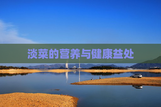 淡菜的营养与健康益处 淡菜的营养与健康益处